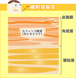 �זE�Ԏ���