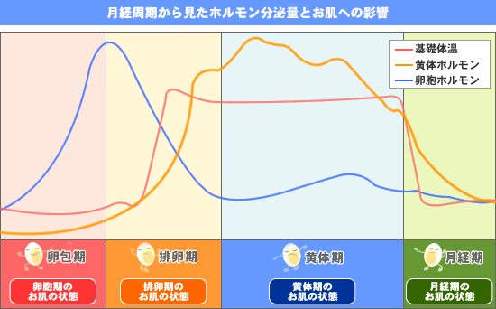 �z�������Ƃ����̉e��