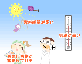 �Ă͂���Ȃɉߍ��ȏ��