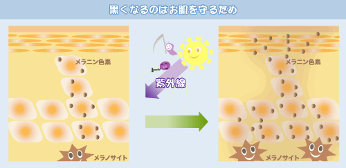 �����Ȃ�̂͂�������邽��