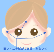 C�^�C�v�Ǐ�