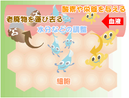 �畆�ƌ��t�z��