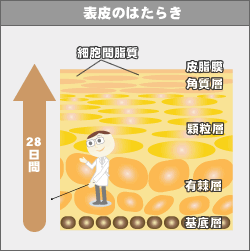 �\��̂͂��炫