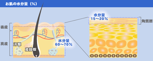 �����̐�����