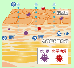 �q��������