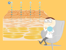 �p���̒ɂ�