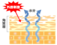 �o���A�@�\�̒ቺ