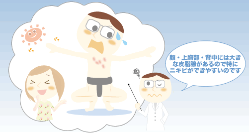 ��A�㋹���A�w���͓��Ƀj�L�r���ł��₷��