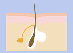 ����ȏ��