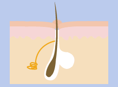 �j�L�r�̂ł��͂���