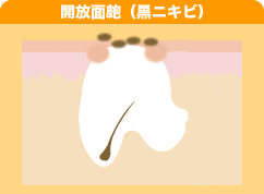 �J����ᬁi���j�L�r�j