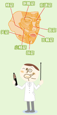 ��v�ȕ\��؂Ƃ��̓���