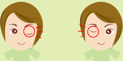 �Жڂ�傫���J���A�����Жڂ͂������Ԃ�B