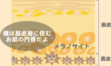 �����m�T�C�g�����O���̎h�����@�m����ƃ����j���F�f������܂��B