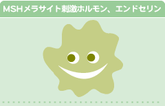 MSH�����T�C�g�h���z�������A�G���h�Z����