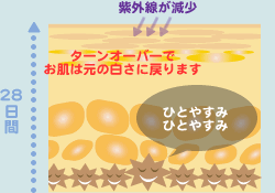 ���N�Ȃ����̏ꍇ