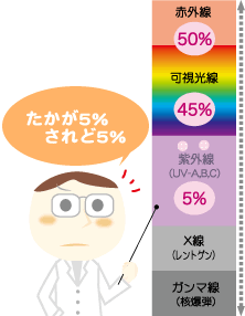 ���O�������O���t