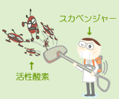 �X�J�x���W���[