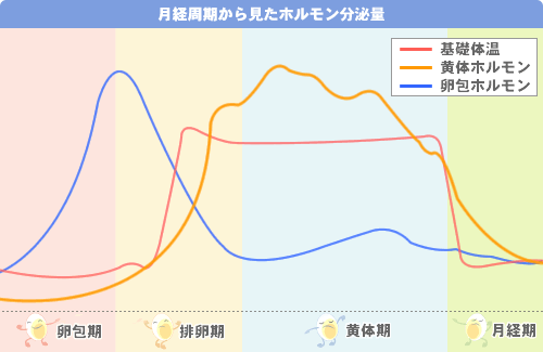 ���o��������݂��z�����������